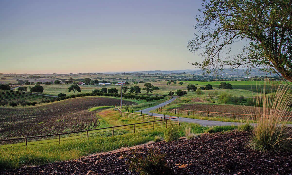 Photo of Others in Paso Robles