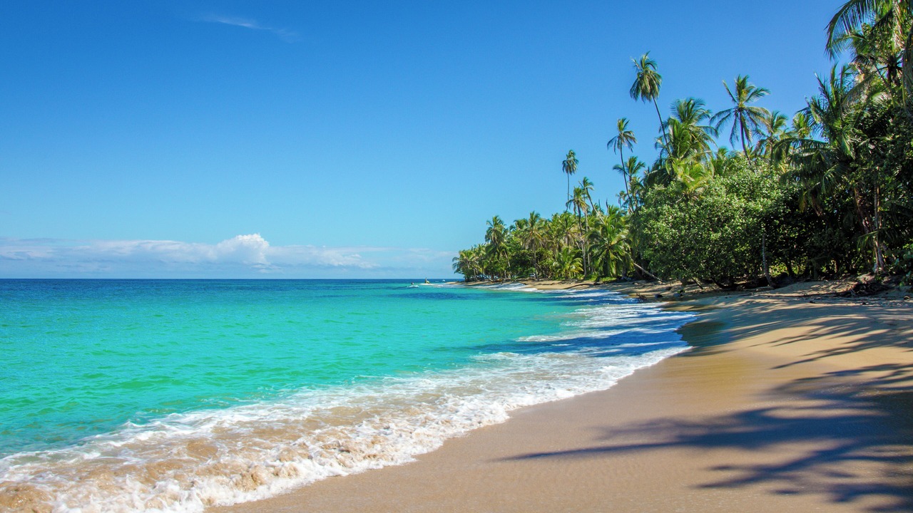 Photo of Others in Puerto Viejo de Talamanca