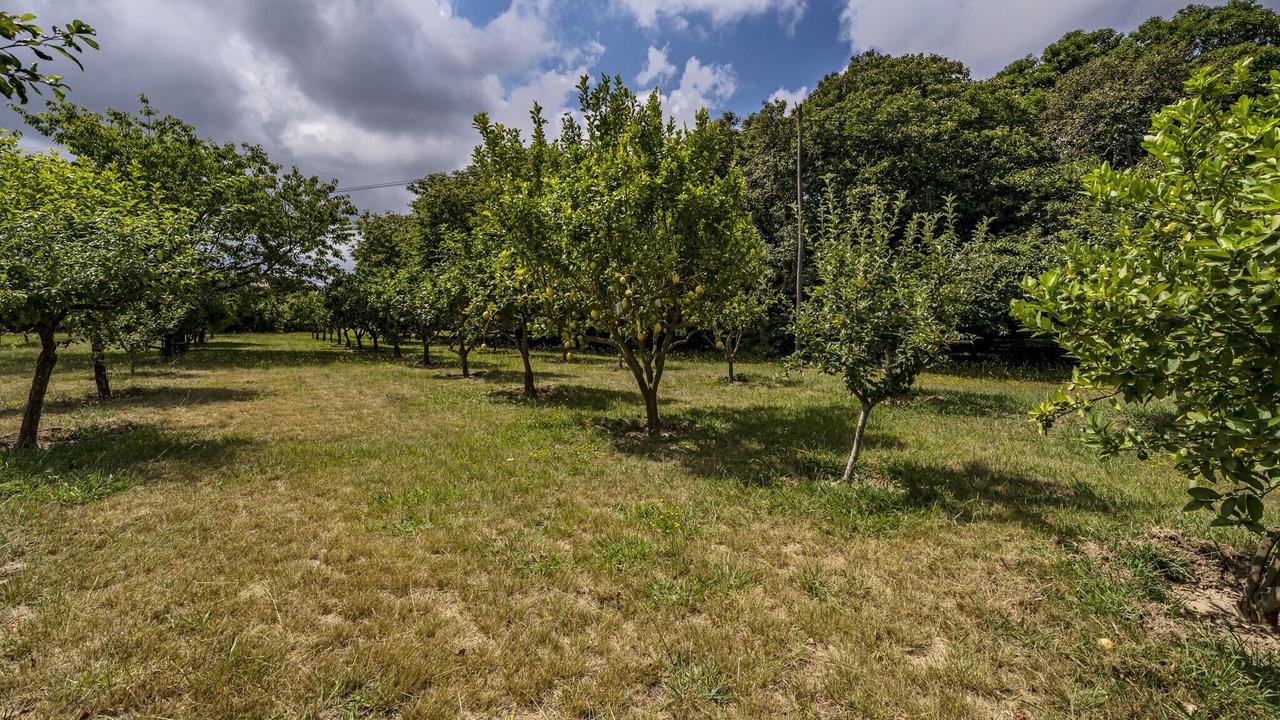 Photo of Outdoor in Santa Maria da Feira