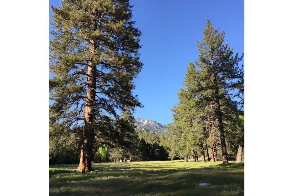 Photo of Others in Idyllwild