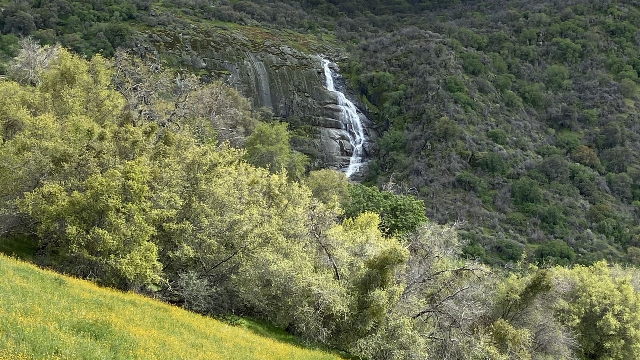 Photo of Others in Three Rivers