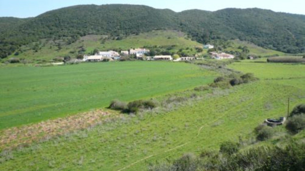 Photo of Others in Aljezur