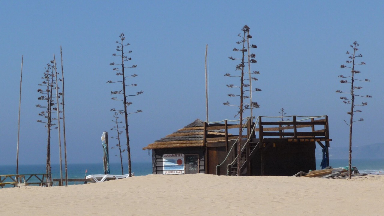 Photo of Others in Aljezur