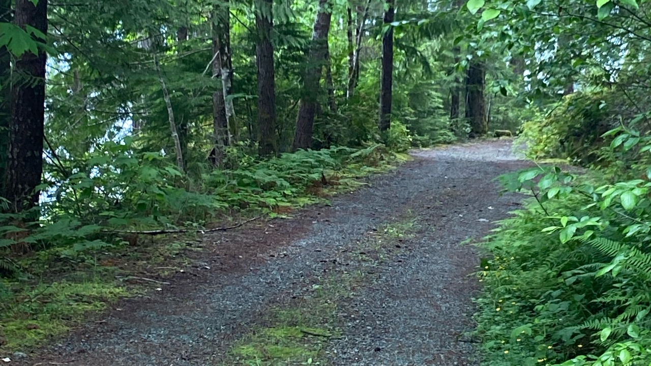 Photo of Others in Sproat Lake