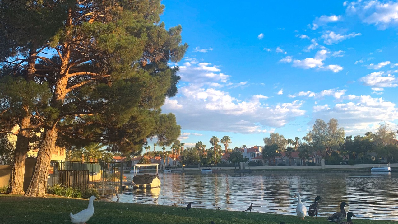 Photo of Outdoor in Desert Shores