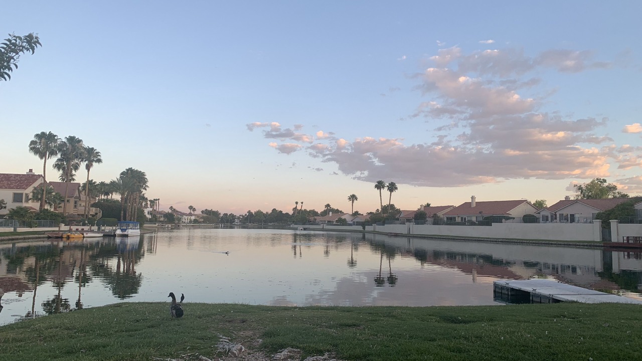 Photo of Others in Desert Shores