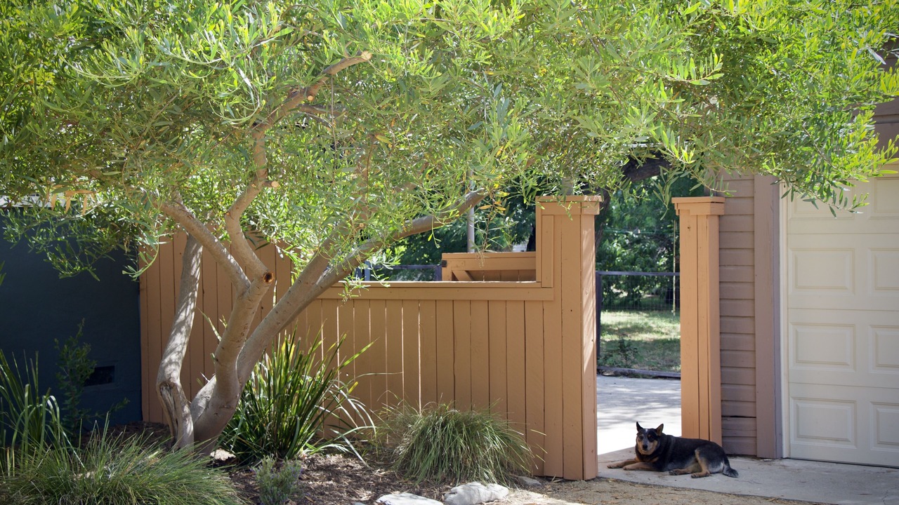 Photo of Outdoor in Ventura County