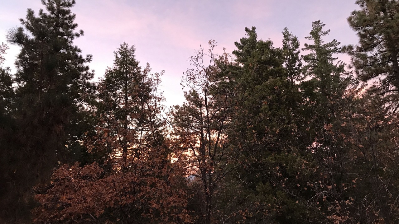 Photo of Others in Pine Cove