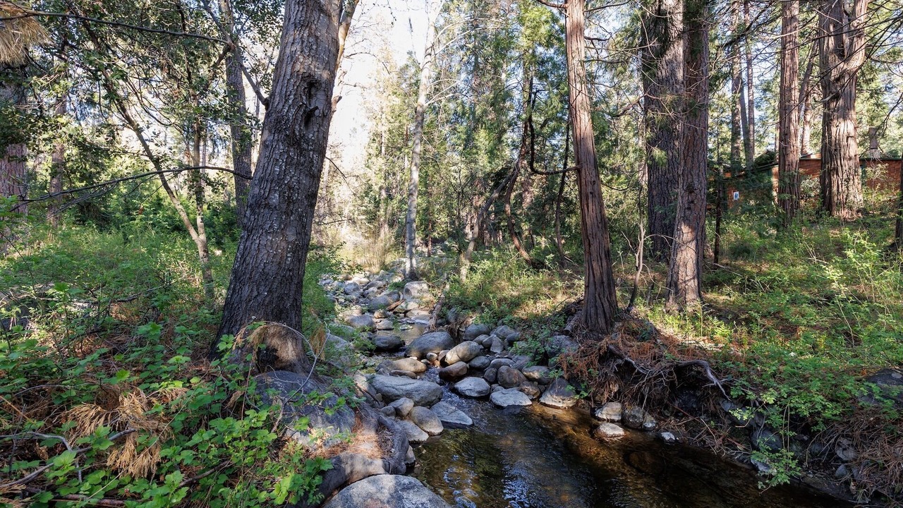 Photo of Others in Idyllwild