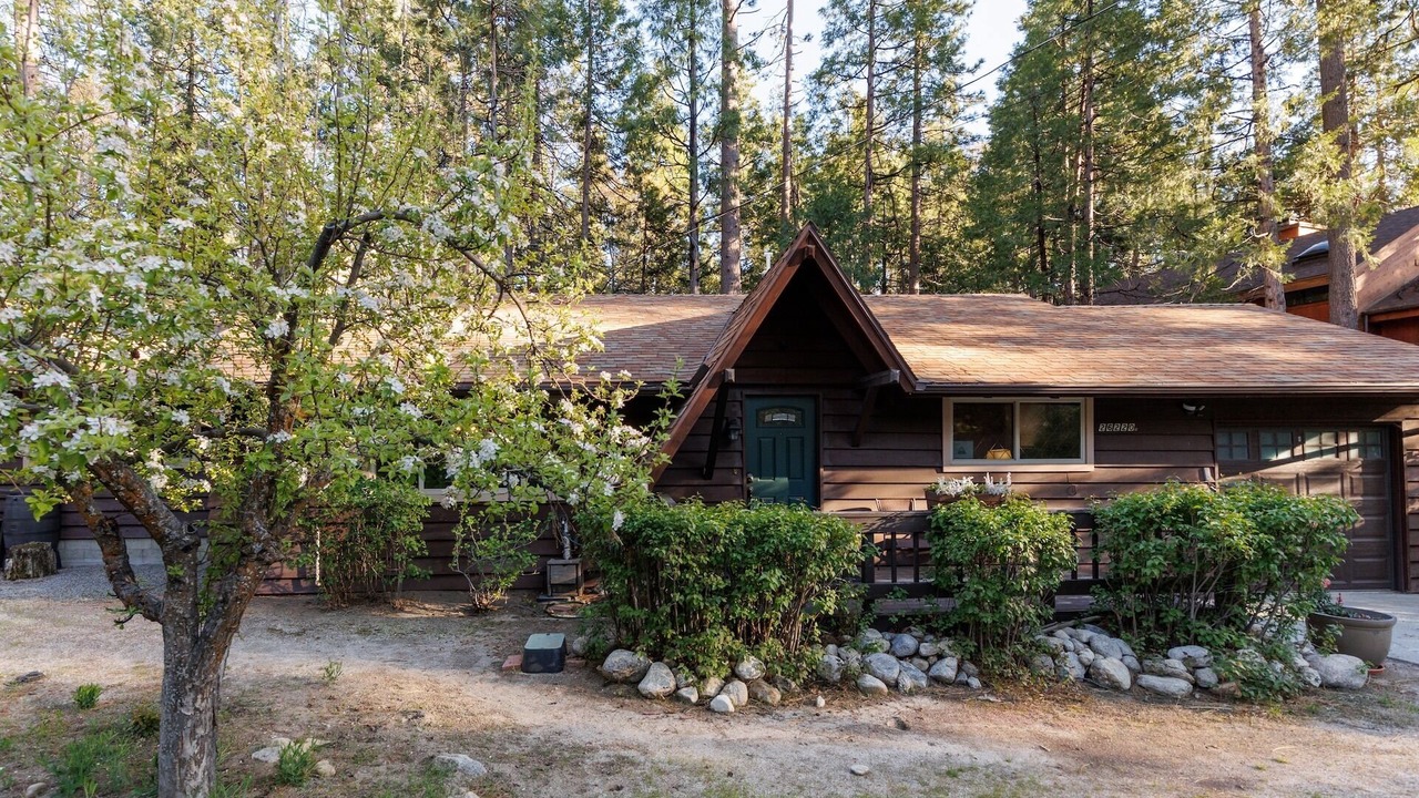 Photo of Outdoor in Idyllwild