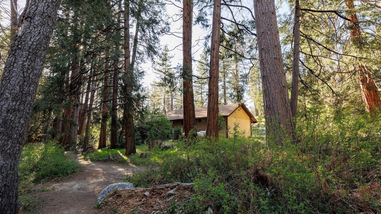 Photo of Outdoor in Idyllwild