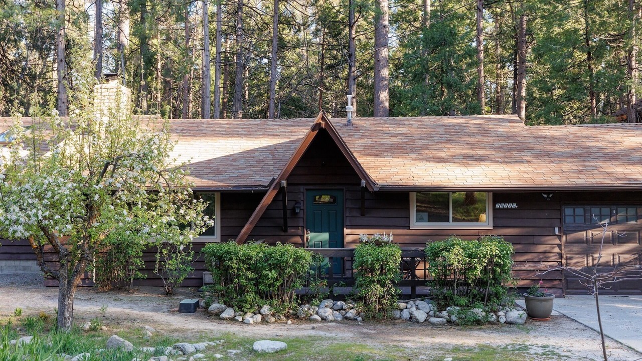 Photo of Outdoor in Idyllwild