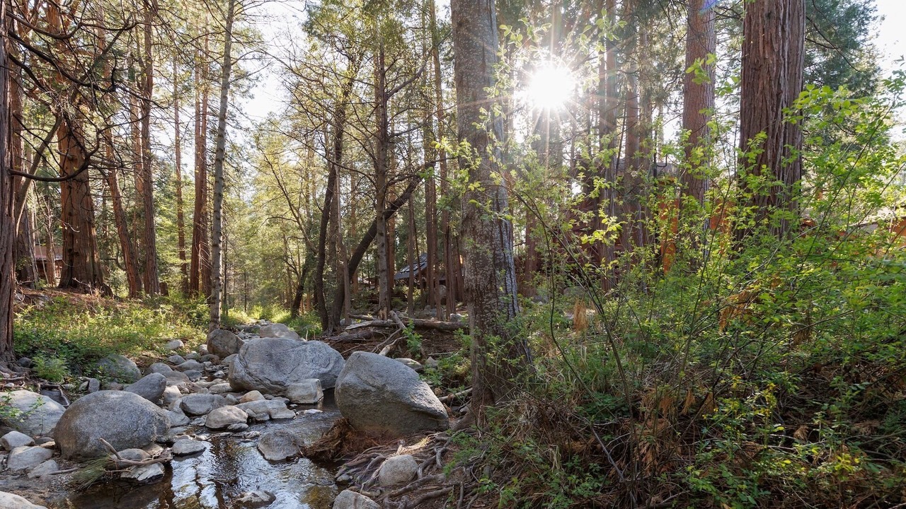 Photo of Others in Idyllwild