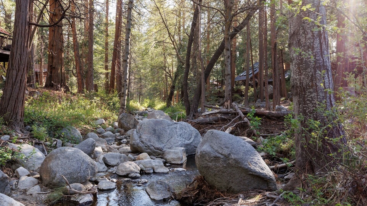 Photo of Others in Idyllwild