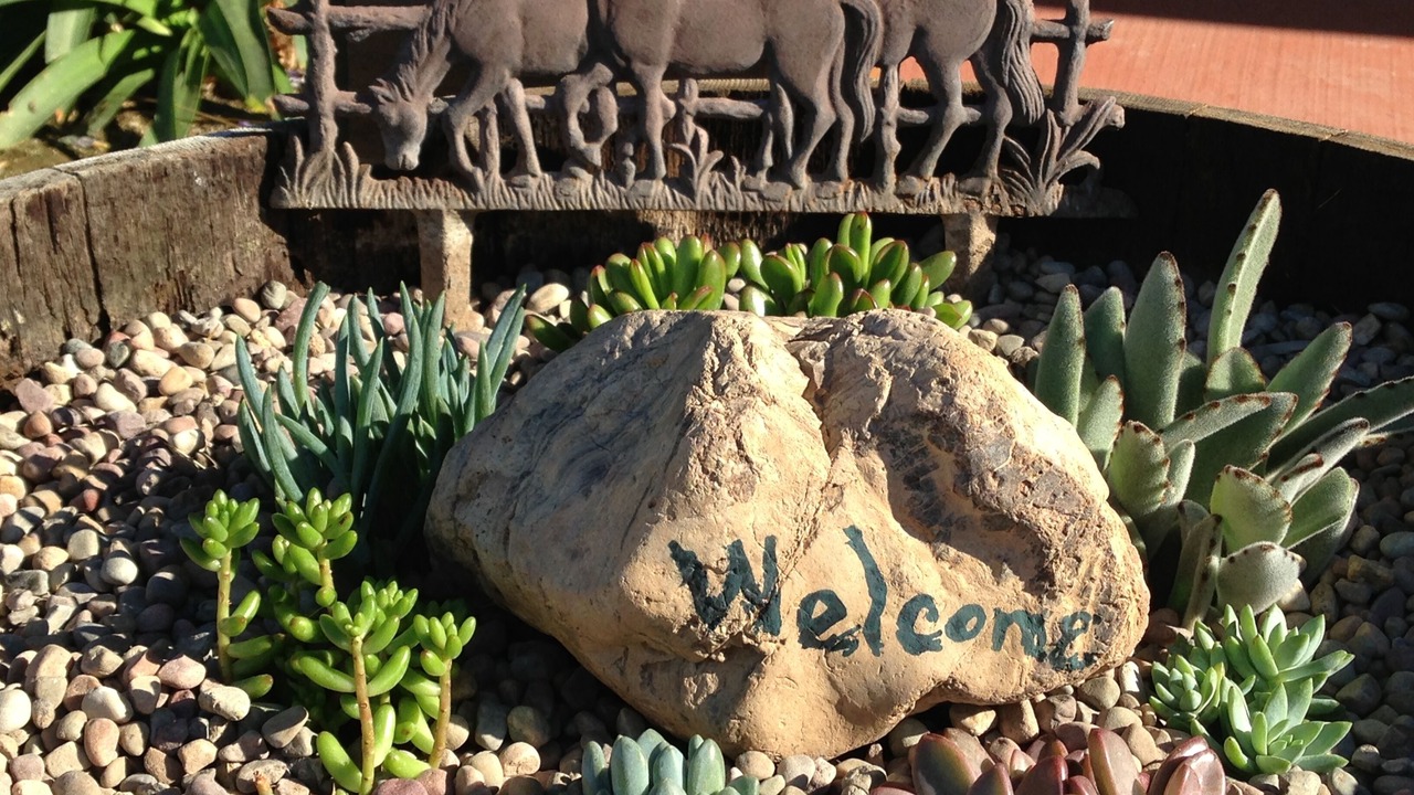 Photo of Outdoor in Santa Ynez