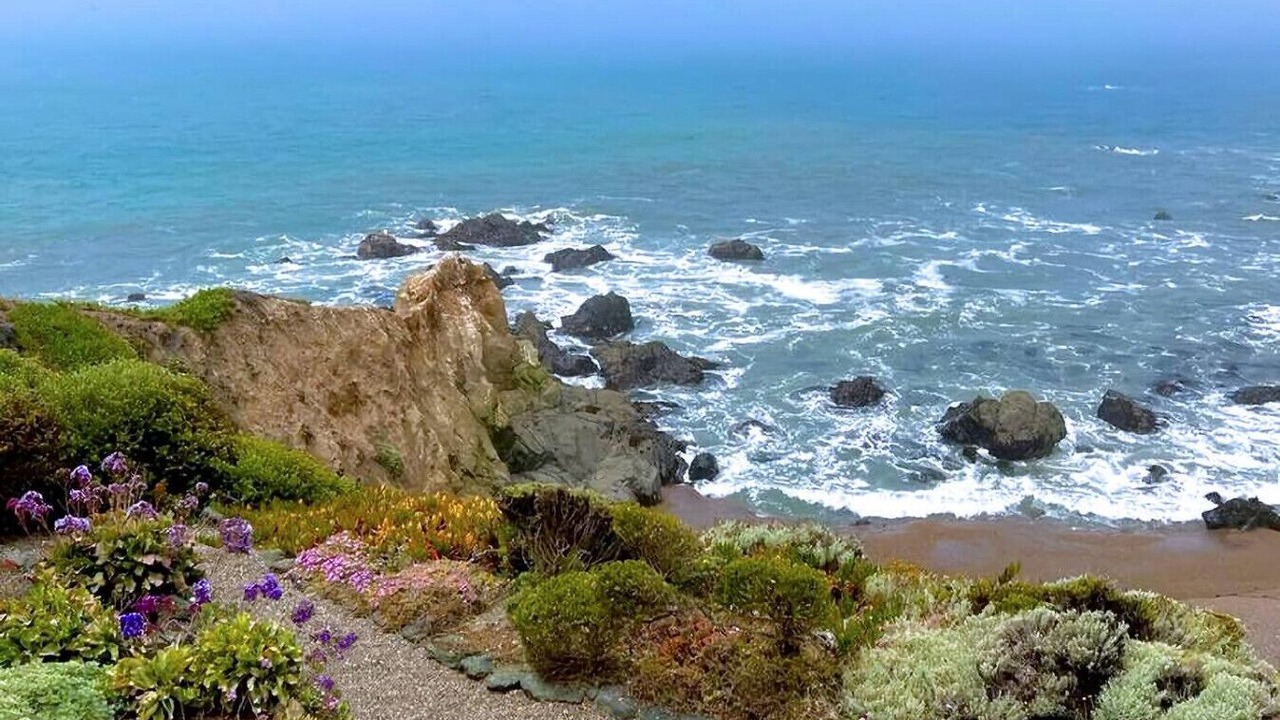 Photo of Others in San Simeon