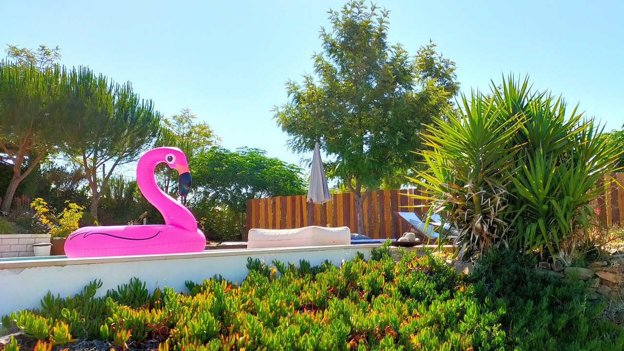 Photo of Outdoor in Aldeia dos Palheiros