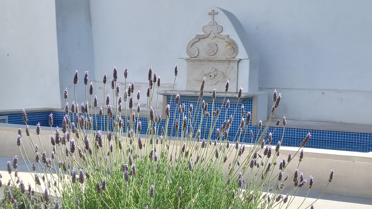 Photo of Outdoor in Evora