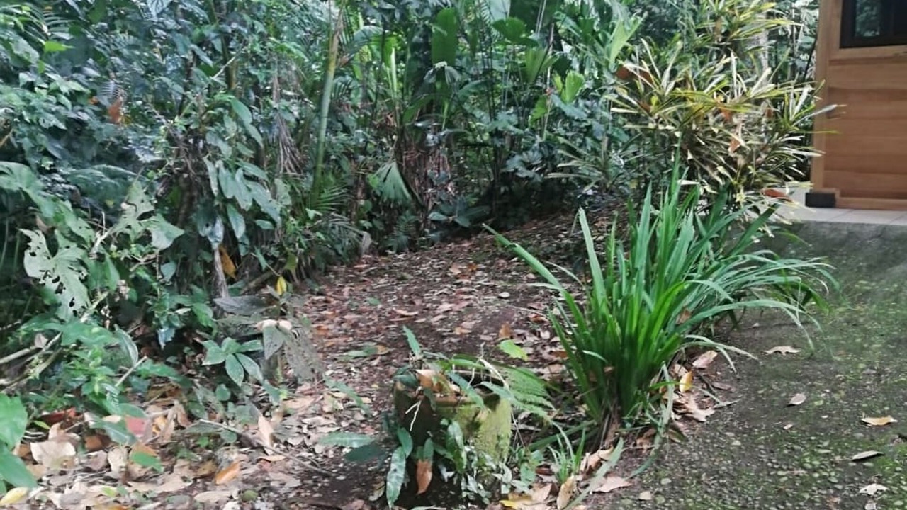Photo of Others in Puerto Viejo de Talamanca