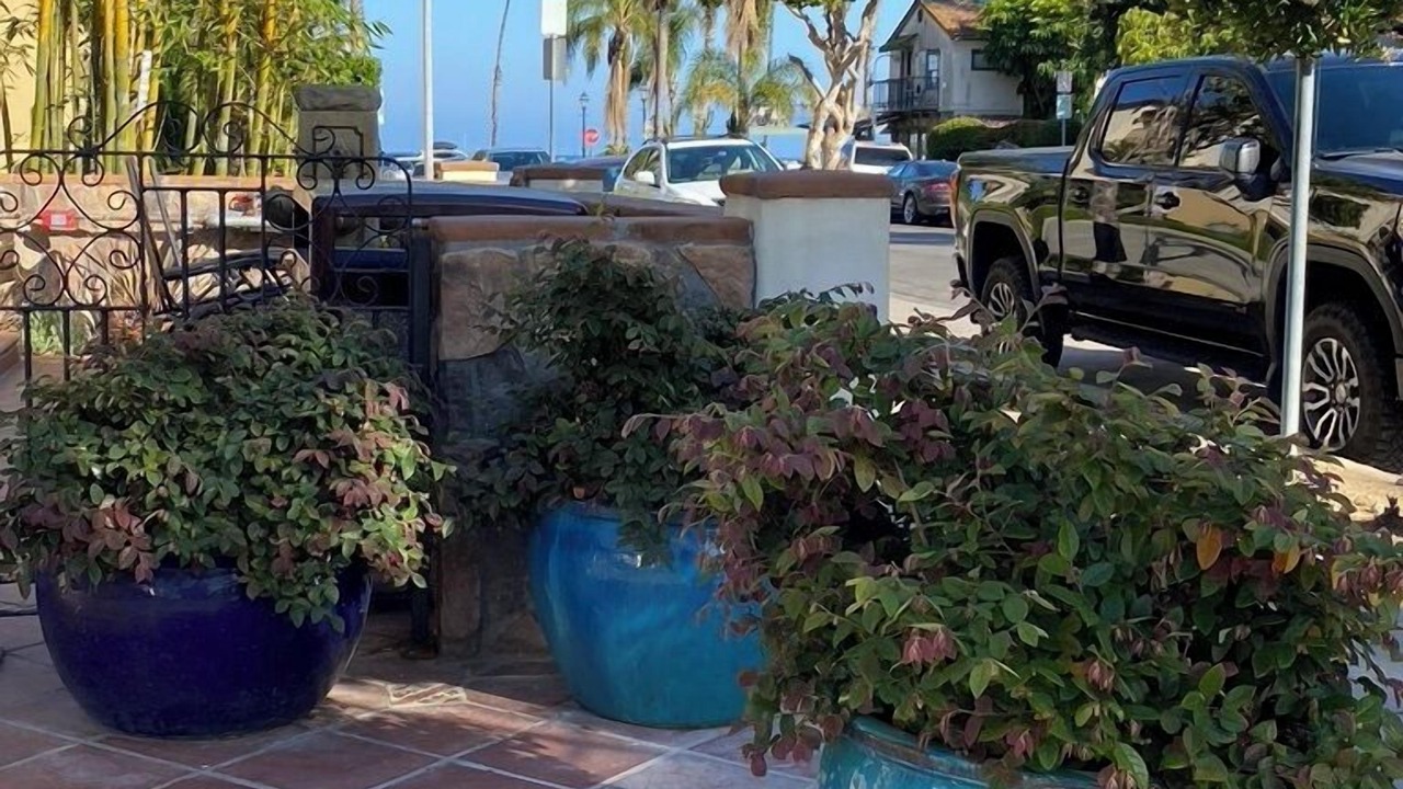 Photo of Patio Balcony in West Beach