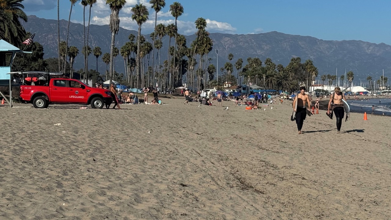 Photo of Others in West Beach