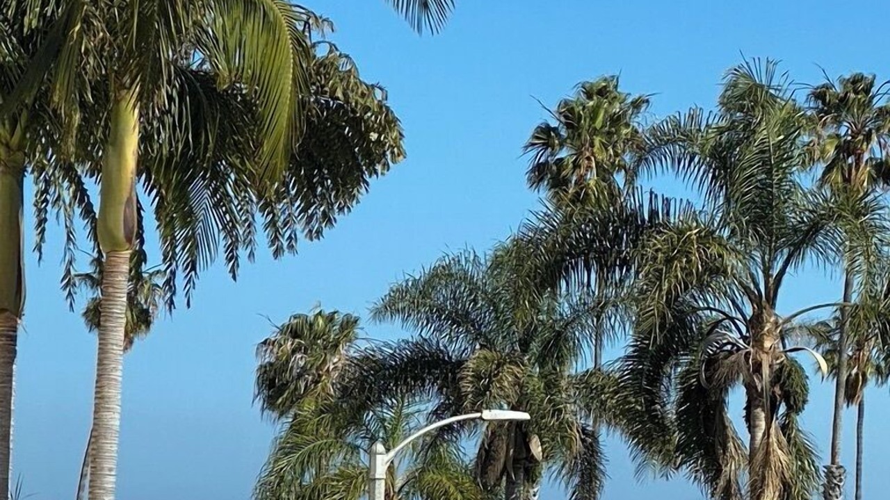 Photo of Outdoor in West Beach
