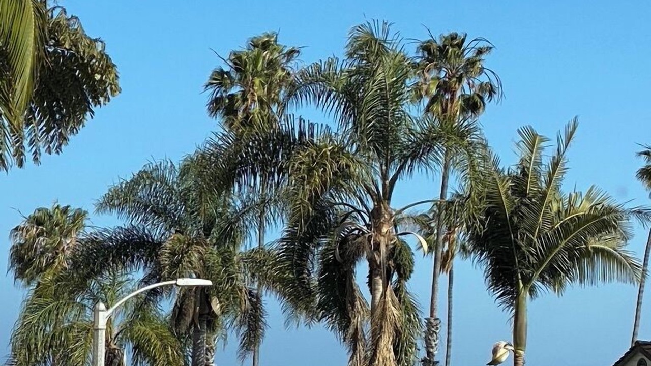 Photo of Outdoor in West Beach