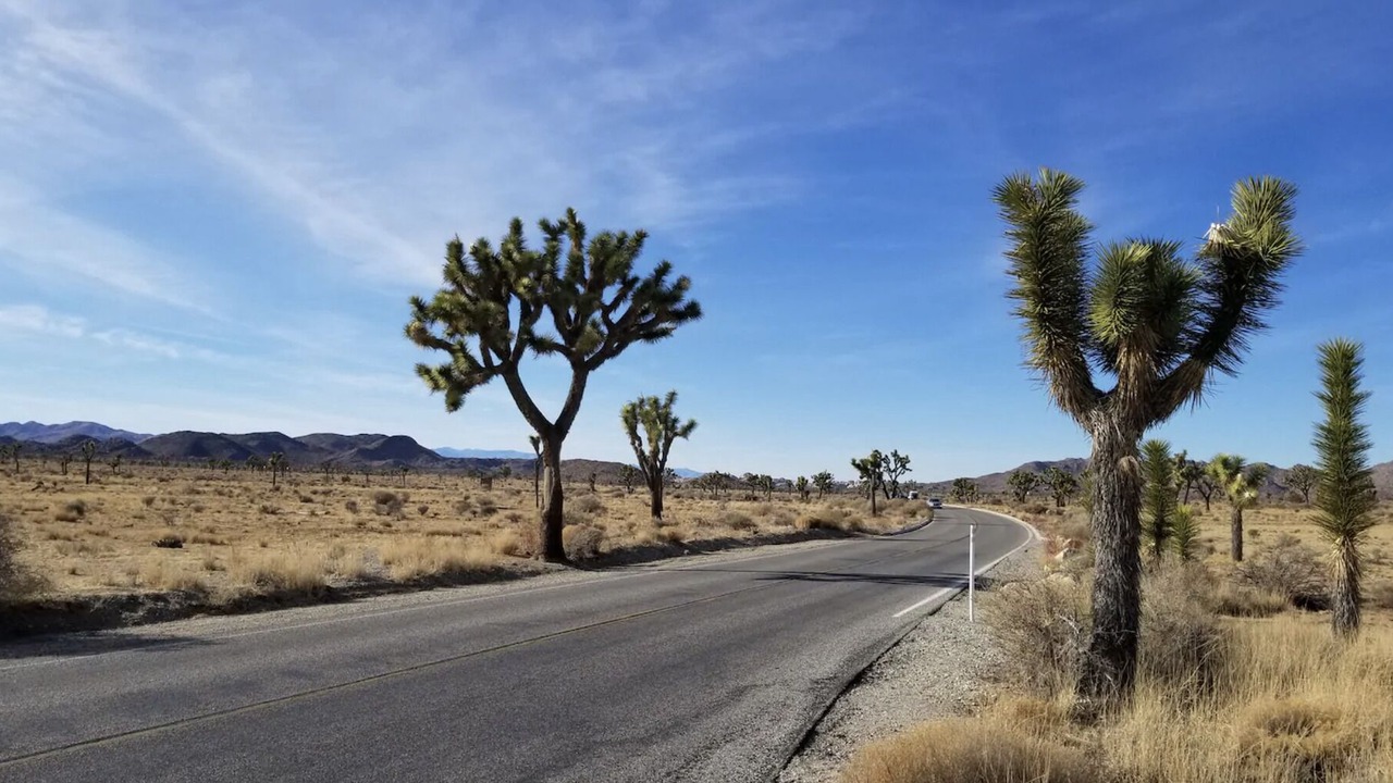 Photo of Others in Twentynine Palms