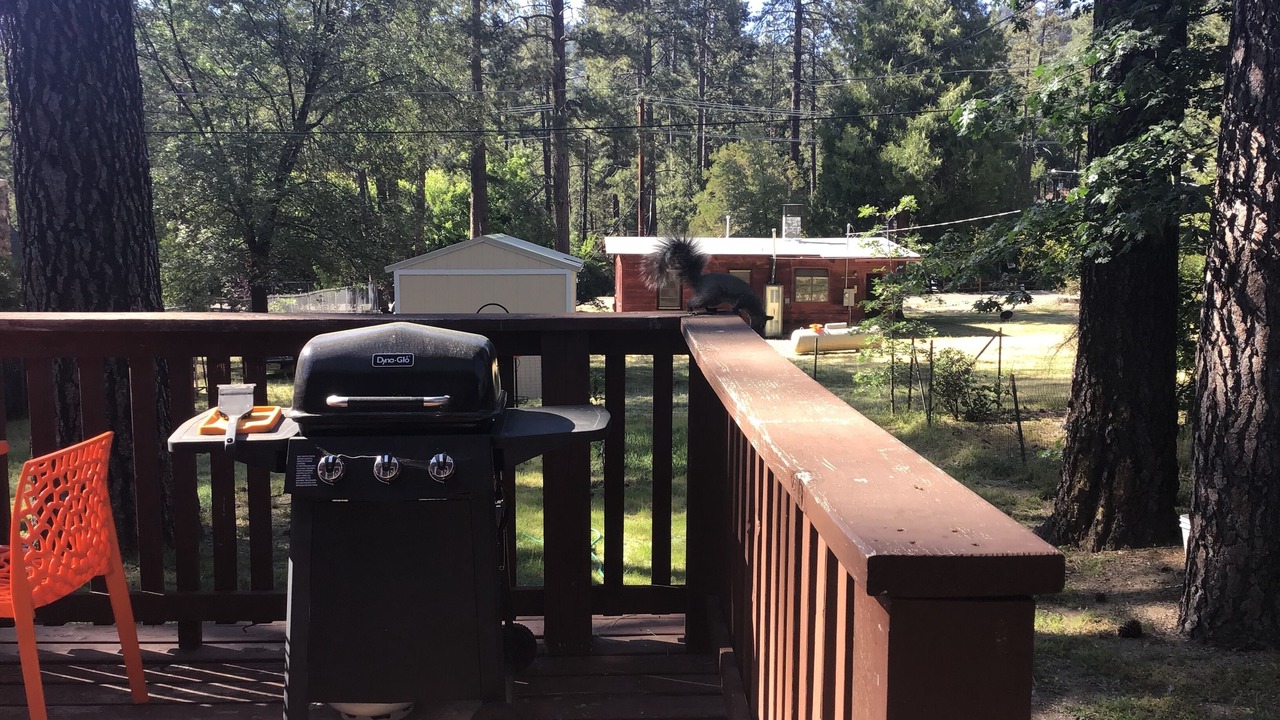 Photo of Outdoor in Idyllwild