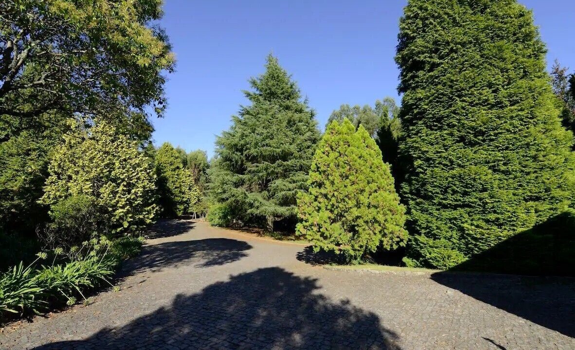 Photo of Outdoor in Fareja