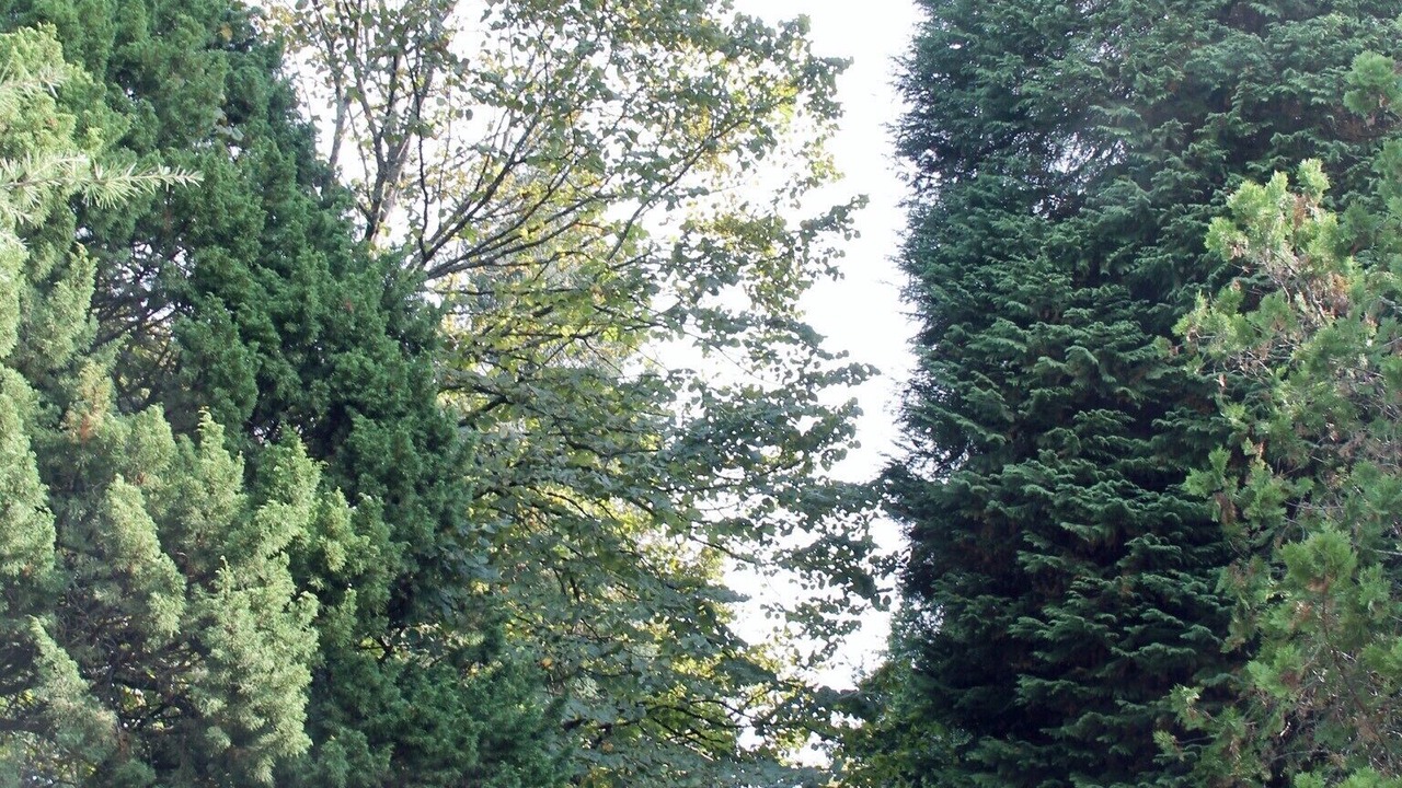 Photo of Outdoor in Fareja