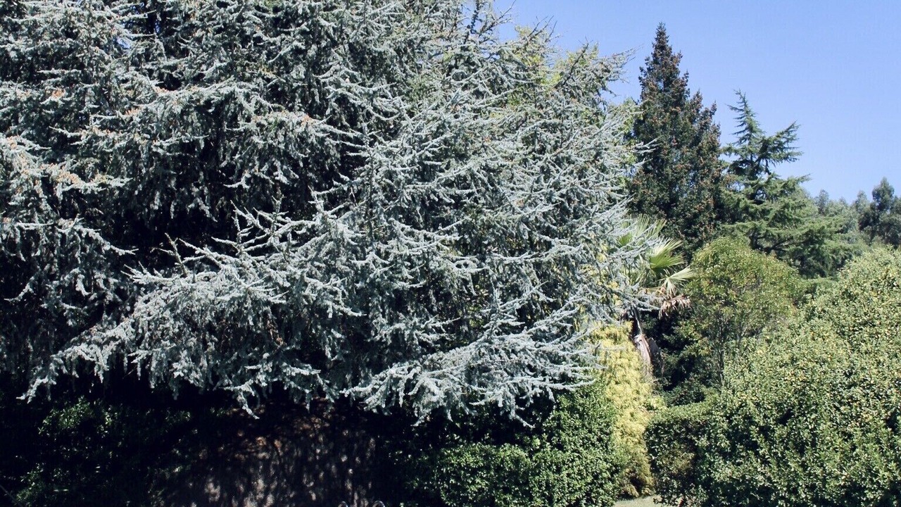 Photo of Outdoor in Fareja