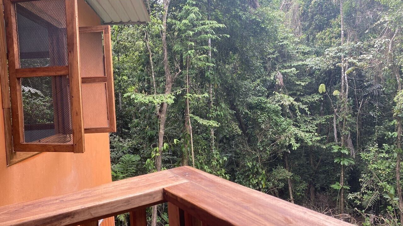 Photo of Outdoor in Cocles