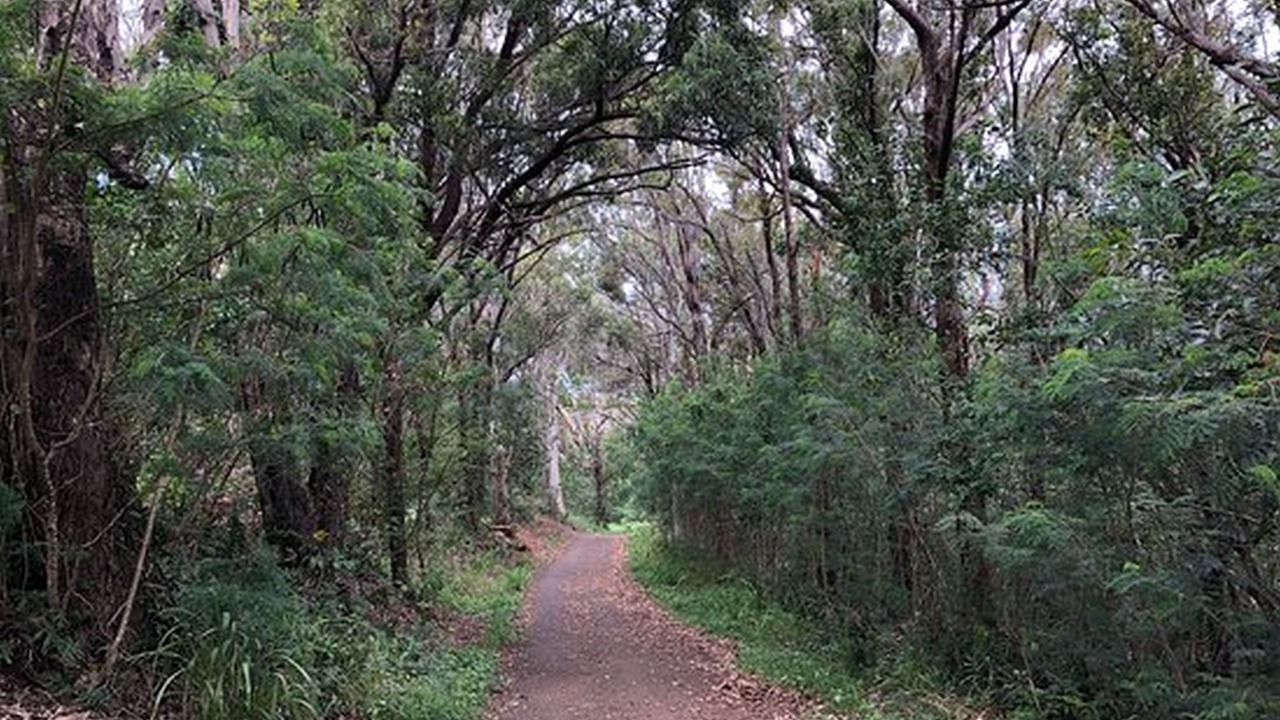 Photo of Outdoor in North Deep Creek