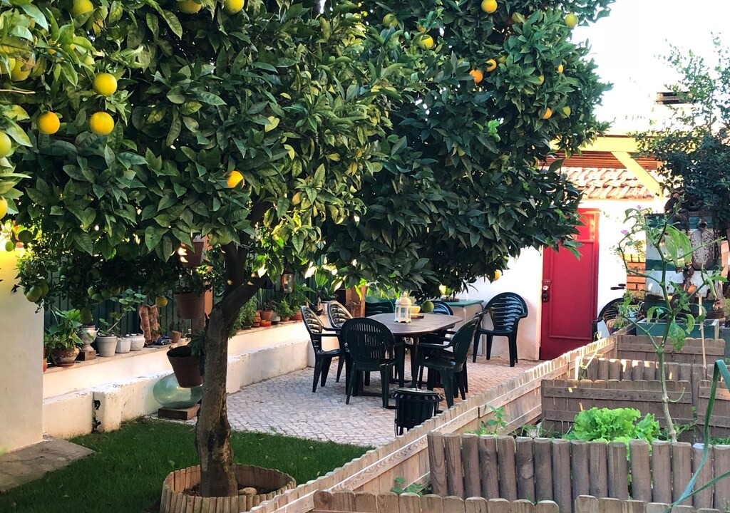 Photo of Patio Balcony in Alges