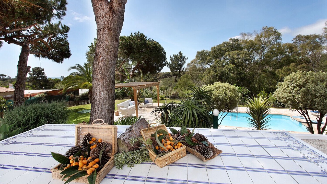 Photo of Outdoor in Charneca de Caparica e Sobreda