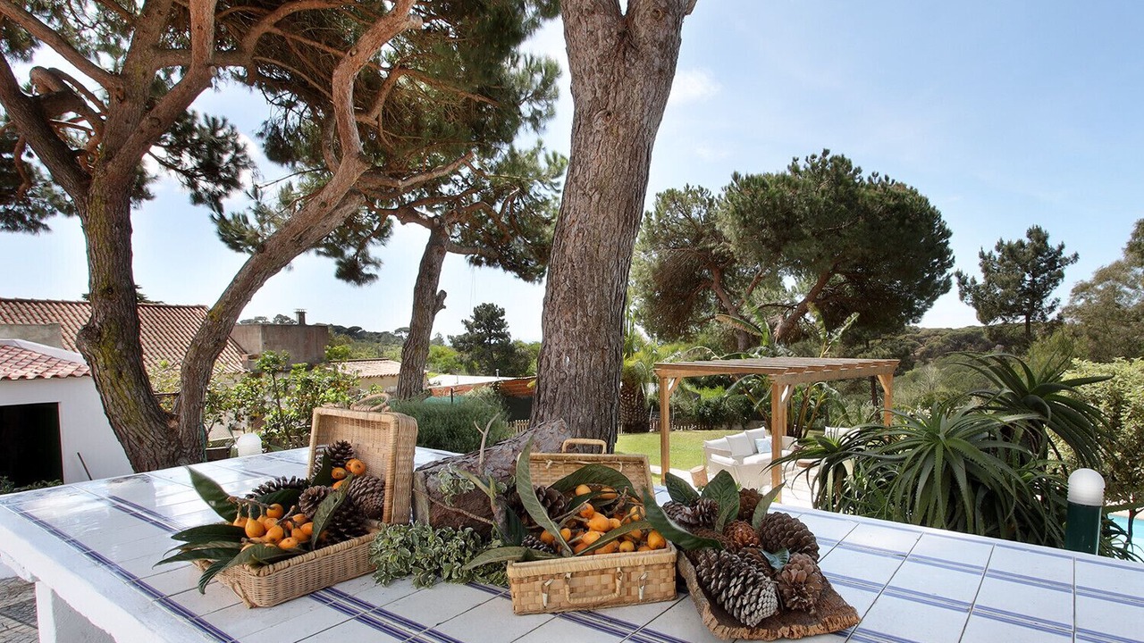Photo of Outdoor in Charneca de Caparica e Sobreda
