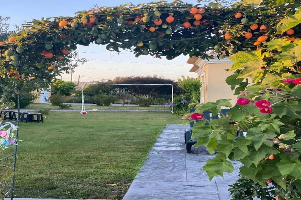 Photo of Outdoor in Ponte de Vagos