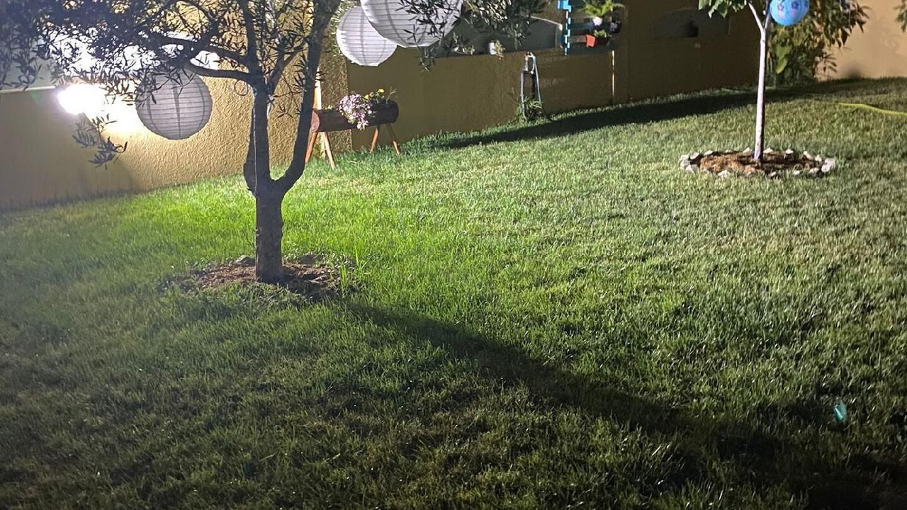 Photo of Outdoor in Ponte de Vagos