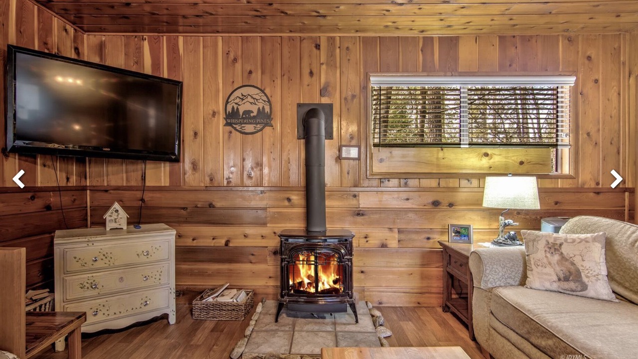 Photo of Livingroom in Idyllwild