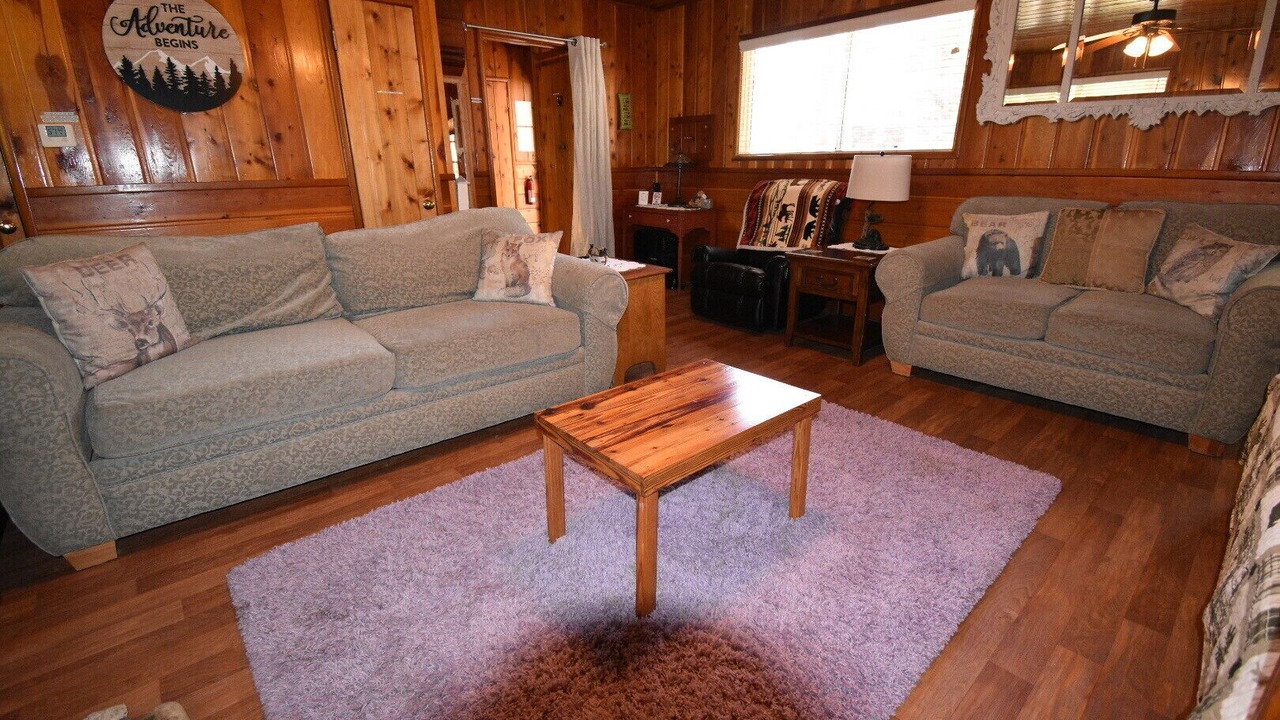 Photo of Livingroom in Idyllwild