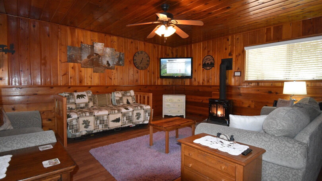 Photo of Livingroom in Idyllwild
