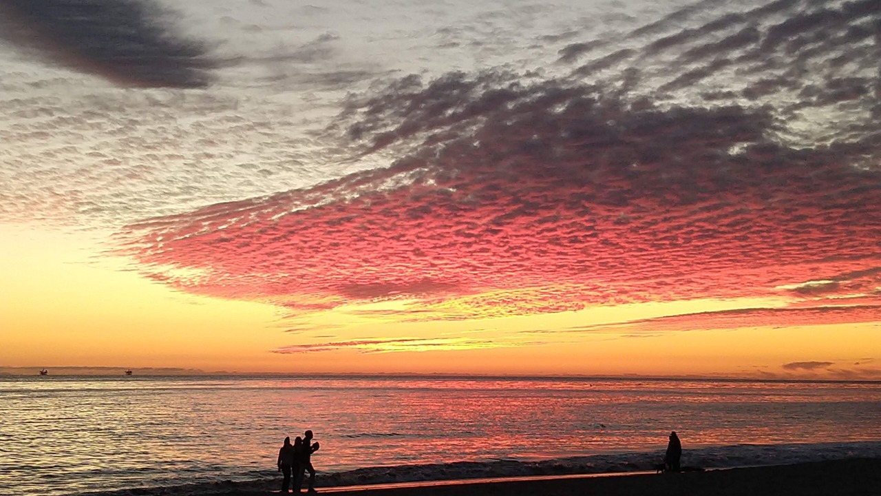 Photo of Others in Carpinteria