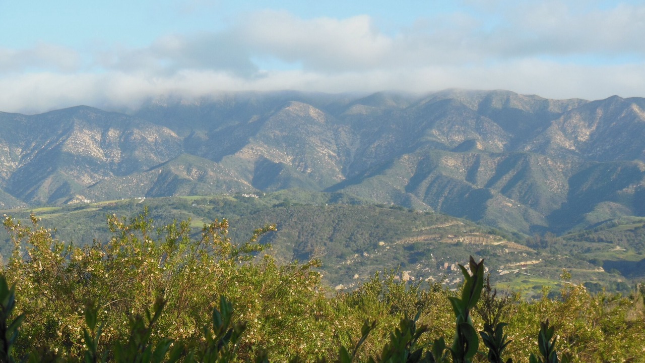 Photo of Others in Carpinteria