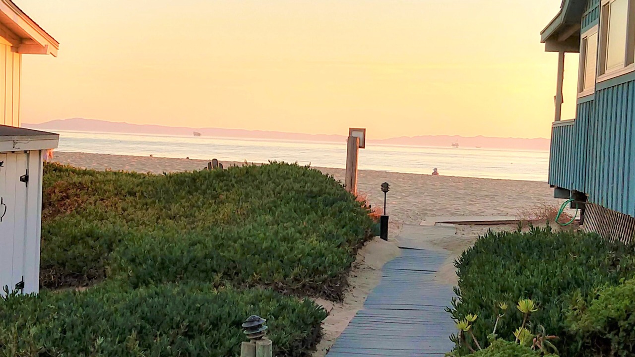 Photo of Others in Carpinteria