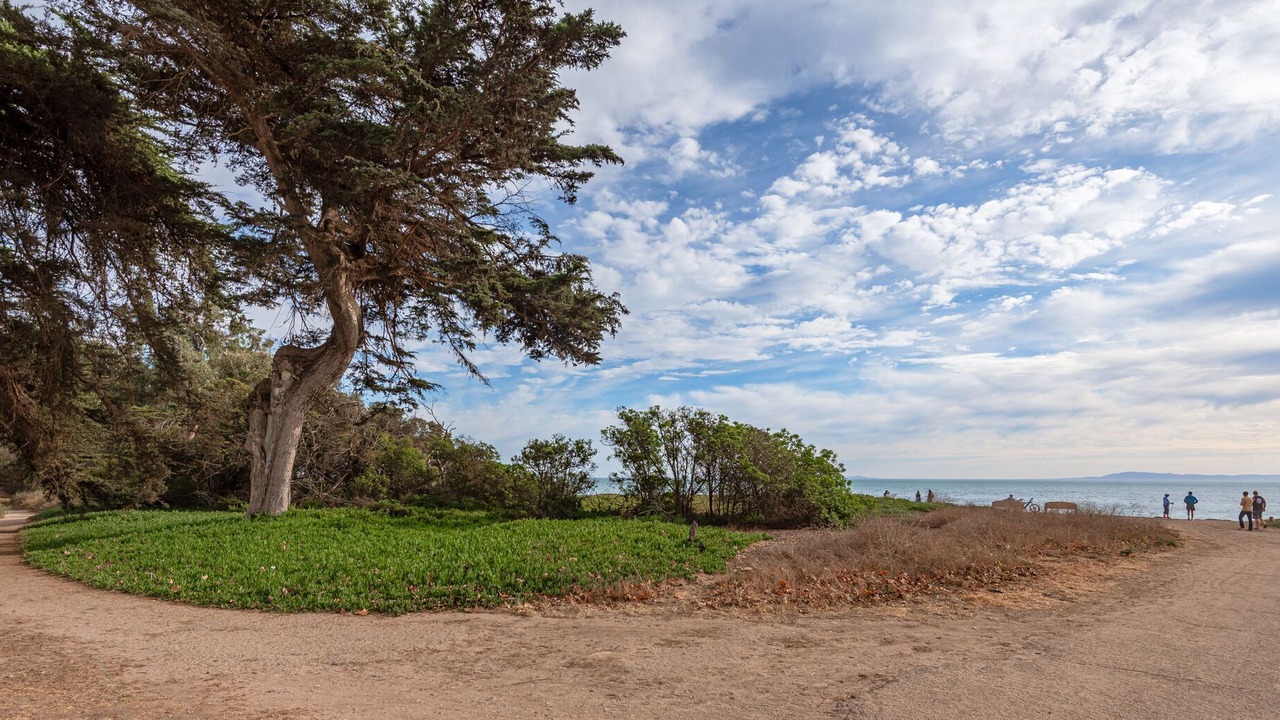 Photo of Others in Carpinteria