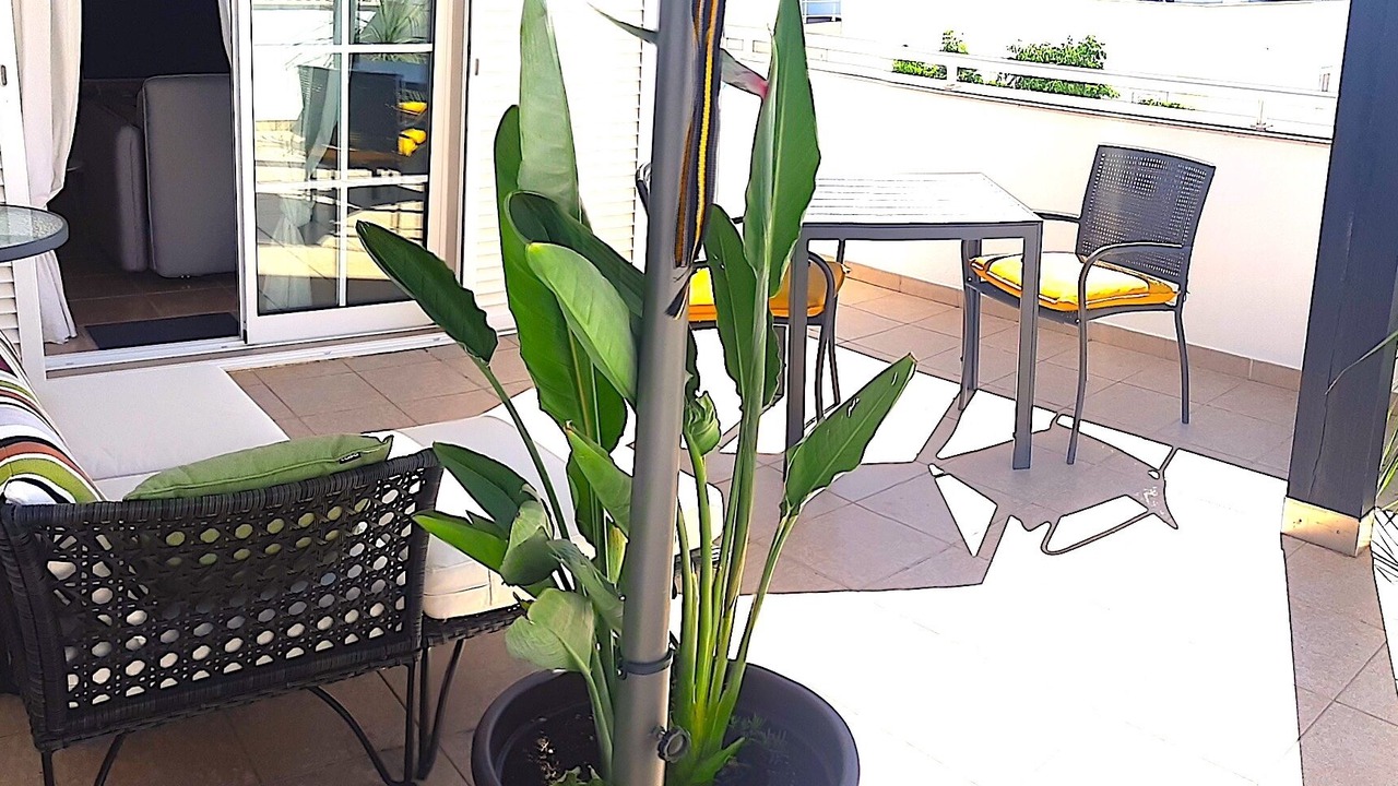 Photo of Patio Balcony in Conceicao e Cabanas de Tavira