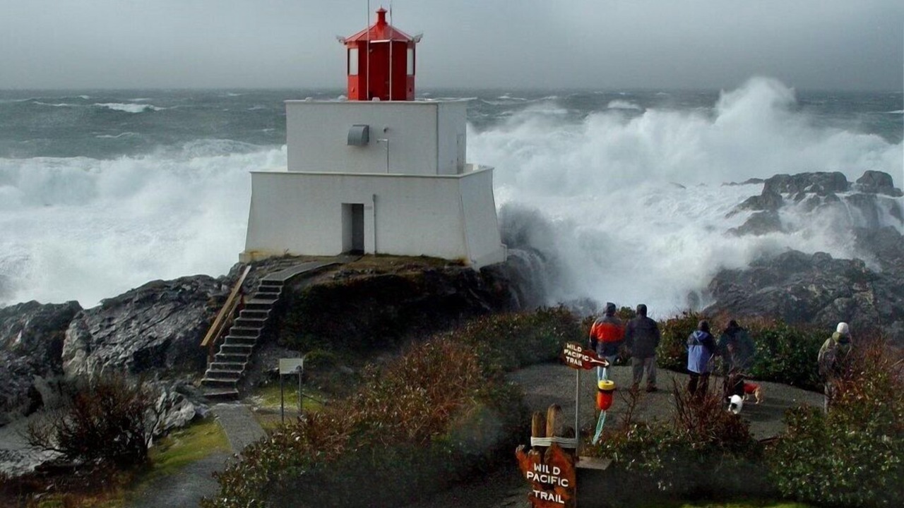 Photo of Others in Ucluelet