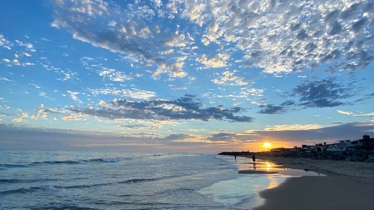 Photo of Others in Carpinteria