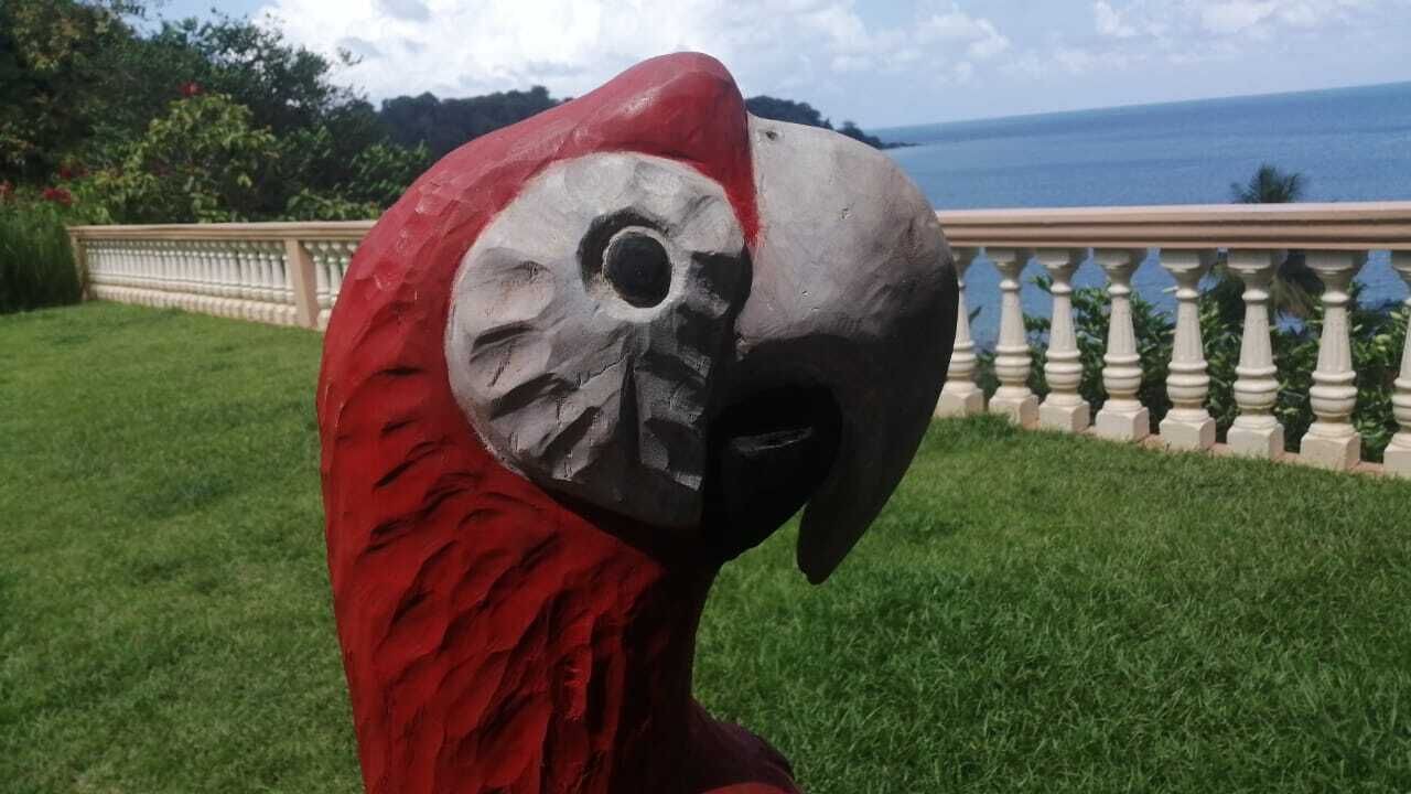Photo of Outdoor in Drake Bay